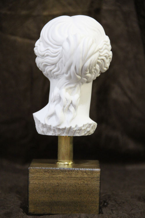 Head of Aphrodite Venus Bust 10" on Base Statue | Eleganza